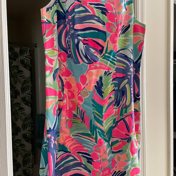 Size 12 Lilly Pulitzer Dress New w/ tags - Picture 4 of 6